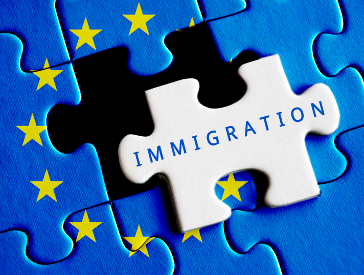 The image depicts a puzzle with one piece standing out, labelled "IMMIGRATION," against the rest of the puzzle patterned with the European Union flag's blue background and yellow stars.