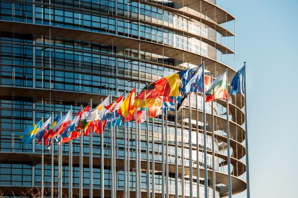 The image features a row of European national flags waving in front of the European Parliament building in Strasbourg.